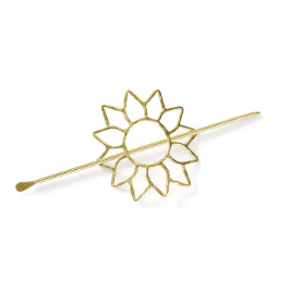 Hair Slide With Pin